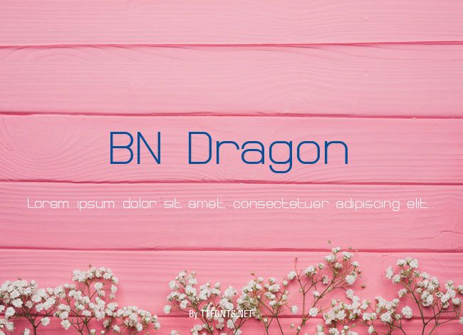 BN Dragon example